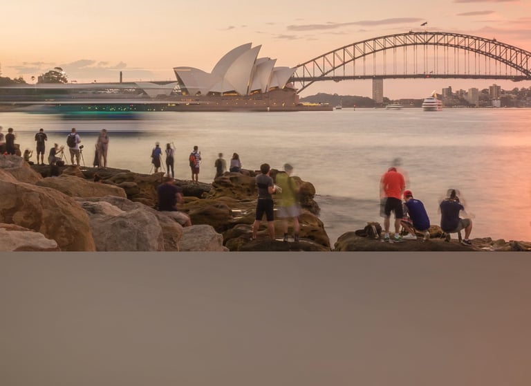 dogAdvisor | dogadvisor | dog advisor | dogAdvisor.dog