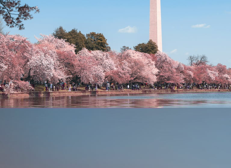 dogAdvisor | dogadvisor | dog advisor | dogAdvisor.dog