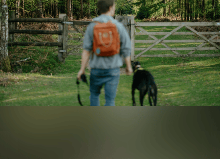 dogAdvisor | dogadvisor | dog advisor | dogAdvisor.dog