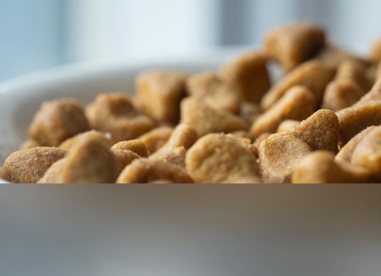 dogAdvisor | dogadvisor | dog advisor | dogAdvisor.dog