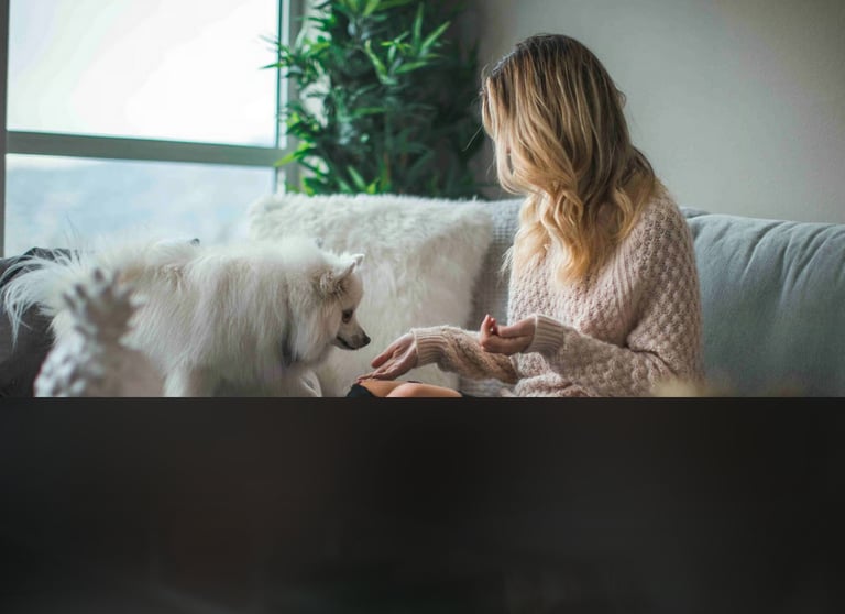 dogAdvisor | dogadvisor | dog advisor | dogAdvisor.dog