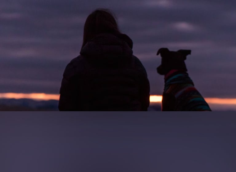 dogAdvisor | dogadvisor | dog advisor | dogAdvisor.dog