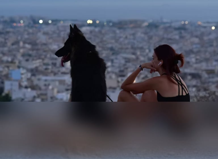 dogAdvisor | dogadvisor | dog advisor | dogAdvisor.dog