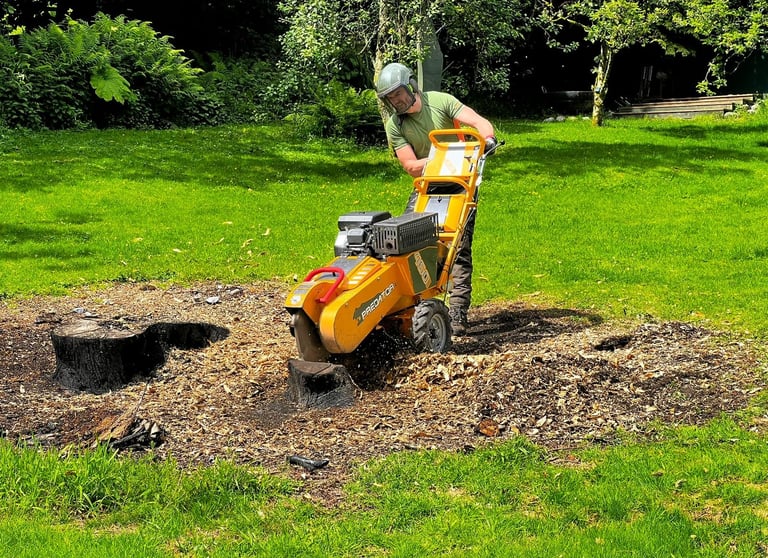LDT stump grinding