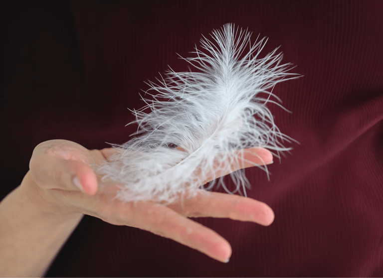 ThetaHealing mokymai - balta plunksna