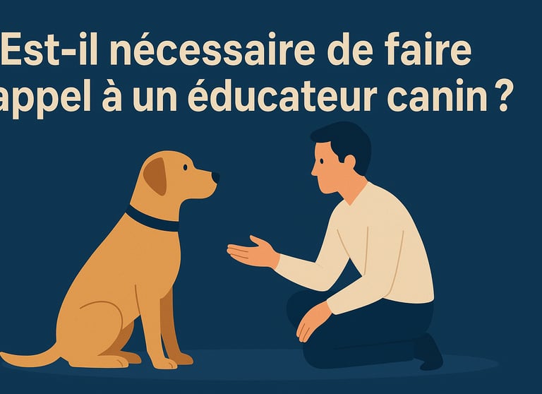 education nécéssaire