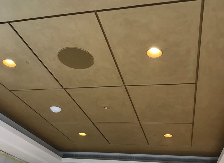 Modern recessed drop ceiling panels in tan with built-in spotlights and speakers.