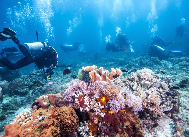 Scuba Diver passing the colourful coral reef of the Great Barrier Reef