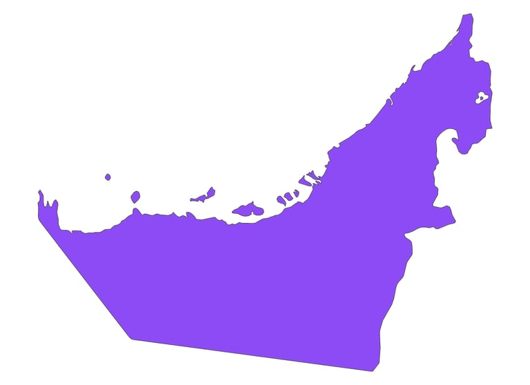DRONICLE opperates UAE wide