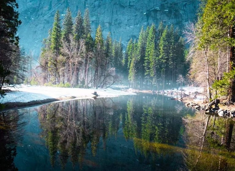 A beautiful landscape with pine trees and a river