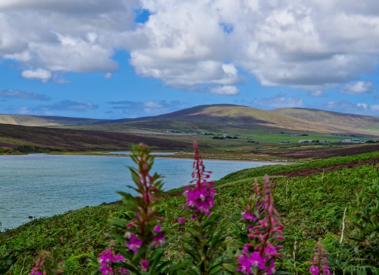 Waulkmill bay