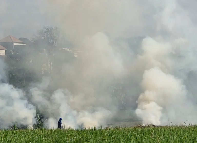 Quema de arrozales, algo como esto es lo que generó el pico de contaminación analizado