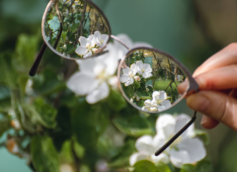 Prescription spectacles in front of flowers