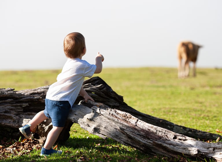 Toddler crouched, mist and a cow in background, outdoor field, nature and curiosity in Fanal.