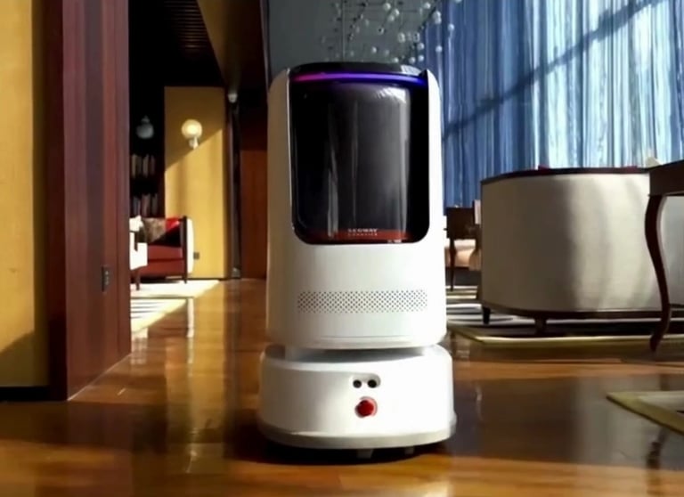 An image of our robot at work in a hotel