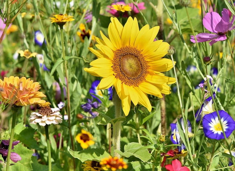 Psicóloga & Terapia Gestalt en Castellón | Jéssica Manjón Puig