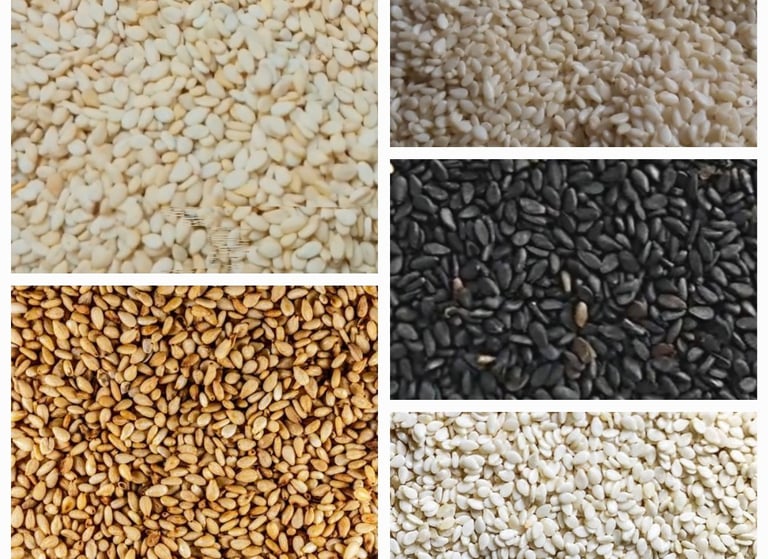 Biggest Sesame Seeds Exporters in Pakistan