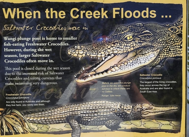 Saltwater Crocodile information sign