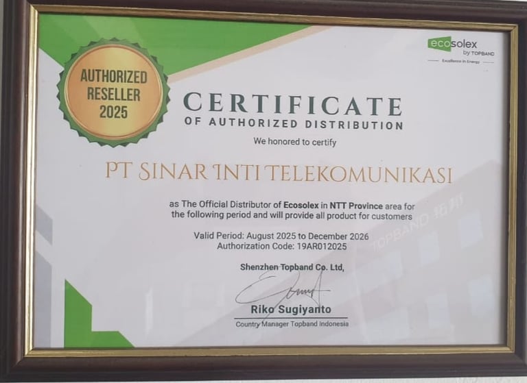 Authorized Distribution TOPBAN BMS Solar Panel