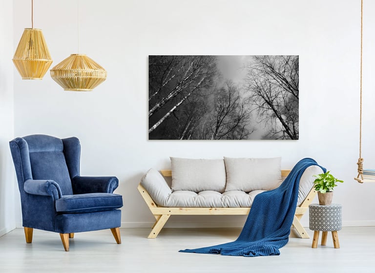 Canvas Print hanging on a wall above a couch.