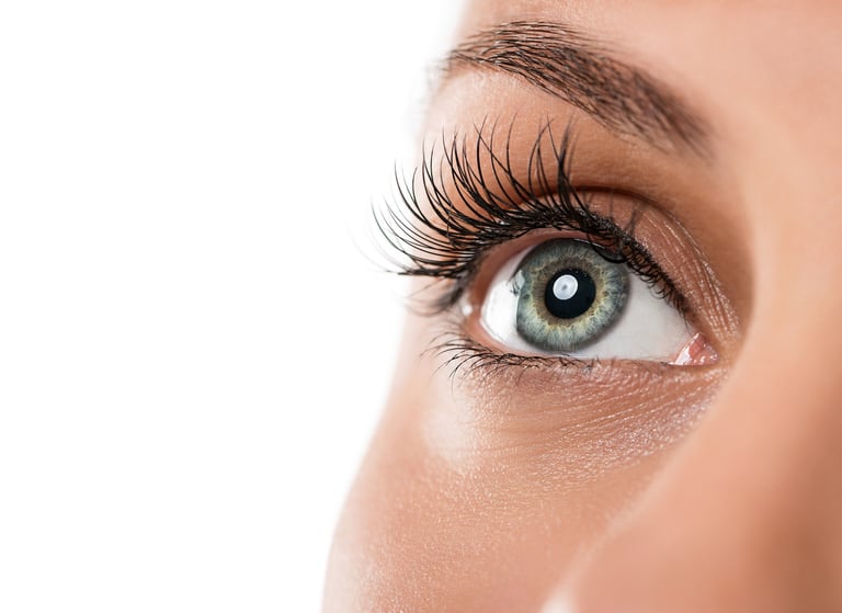 An eyebrow and eyelash