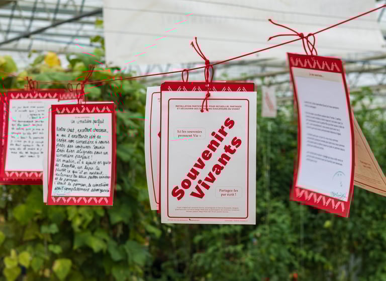 Une multitude de fiches de Souvenirs Vivants pendent au-dessus du sol, nouées à un fil rouge