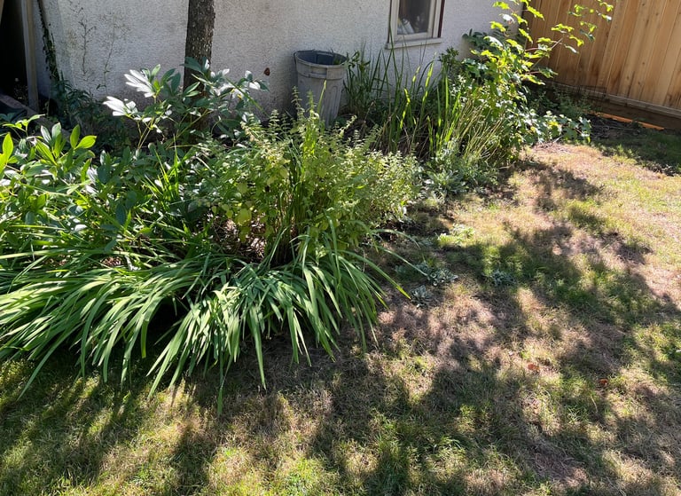 Ugly flower bed