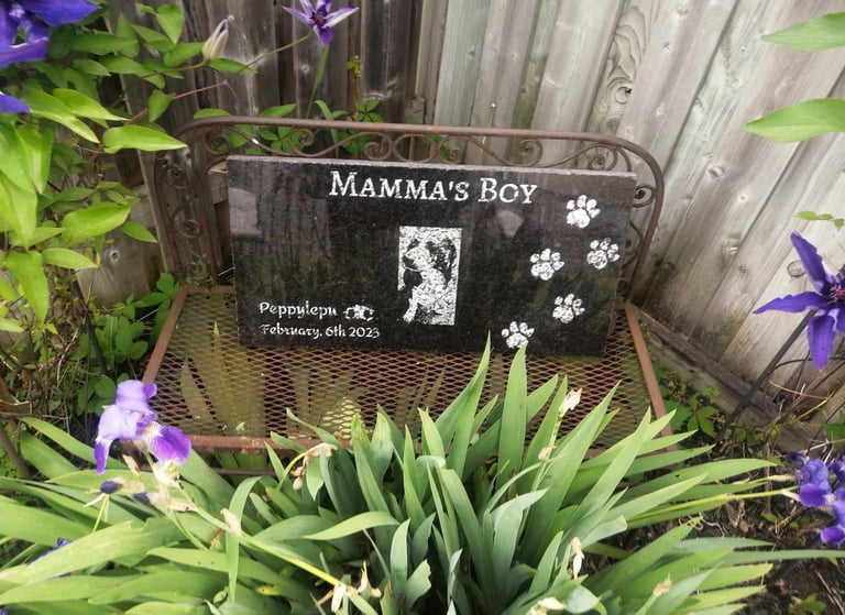 dv engravings pet memorial stone