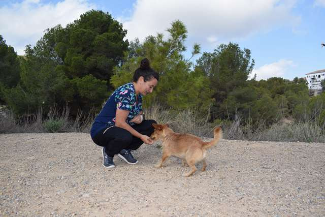 Vitaliti Pet Club Veterinaria