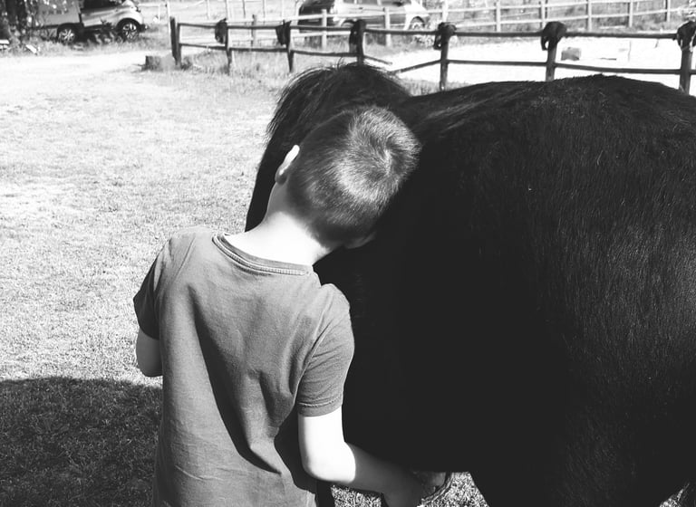 enfant de dos appuyant sa tête contre son poney lors d'une séance d'équithérapie