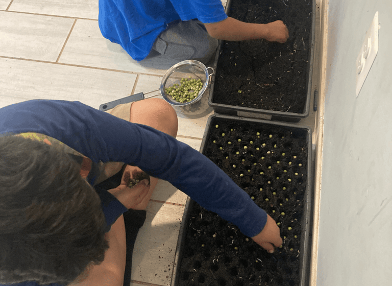 clarify your garden goals