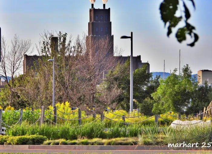 Usine Stadacona de Papiers White Birch