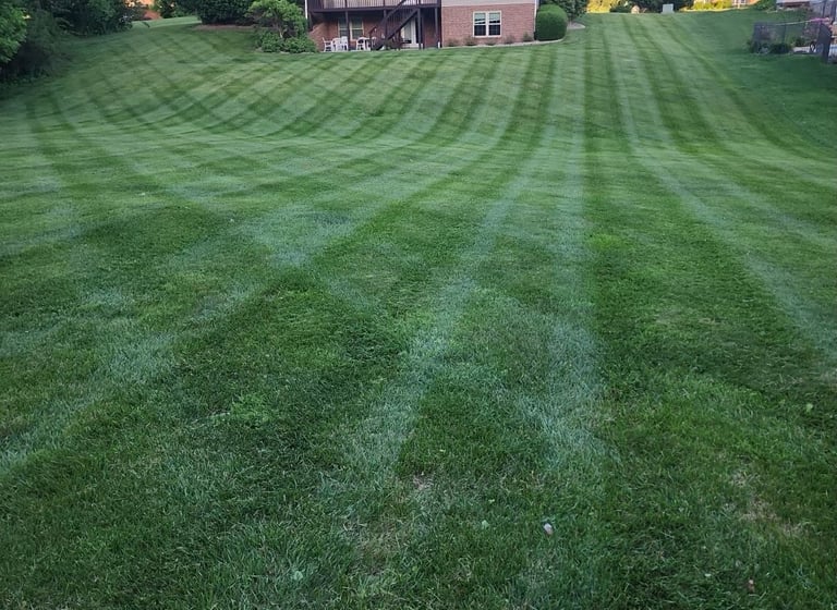 lawn care
