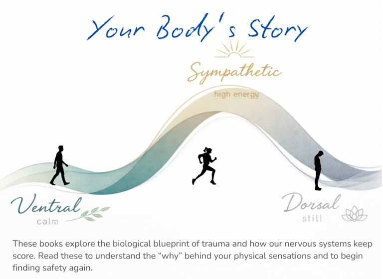 Graphic of three polyvagal states with figures moving from calm to still.