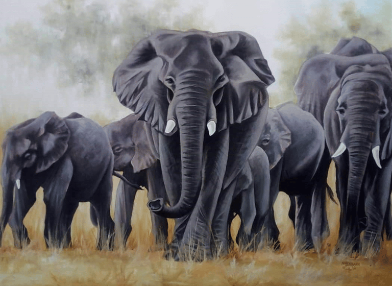 IRES Troupeau d'éléphants africains