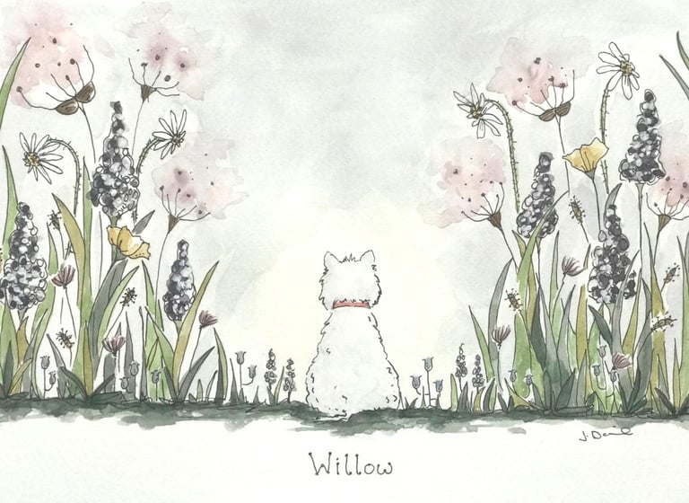 Willow