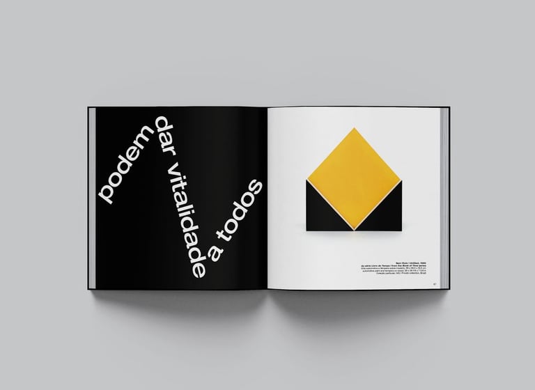 livro “Lygia Pape: ação-dentro”