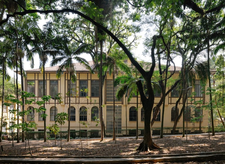Parque da Água Branca, um espaço verde emblemático de São Paulo, proporcionando um diálogo.