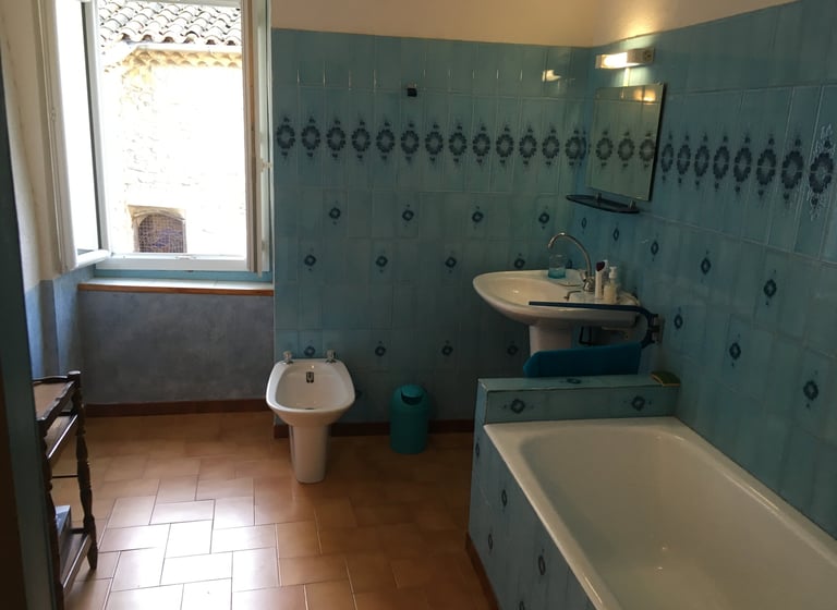 Salle de bain rustique avec carrelage mural bleu à motifs, baignoire blanche, bidet, 