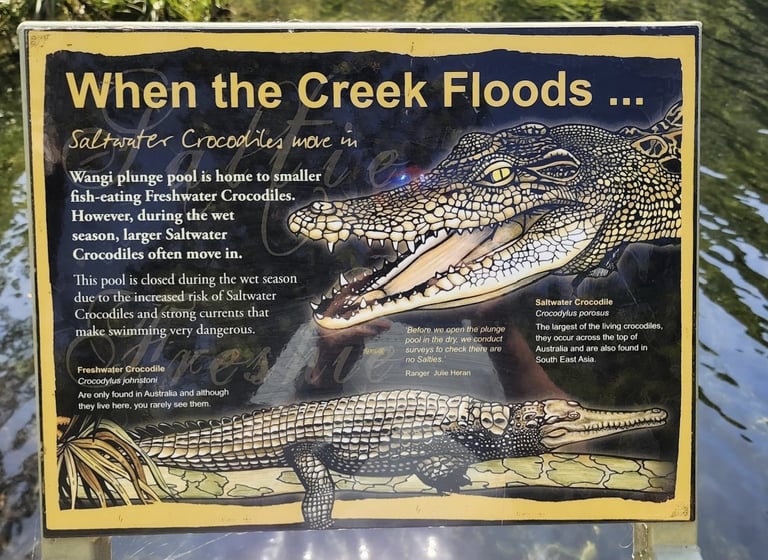 Saltwater Crocodile information sign