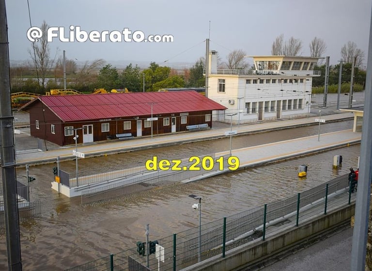 Inundações Granja do Ulmeiro Alfarelos Linha do Norte 2019