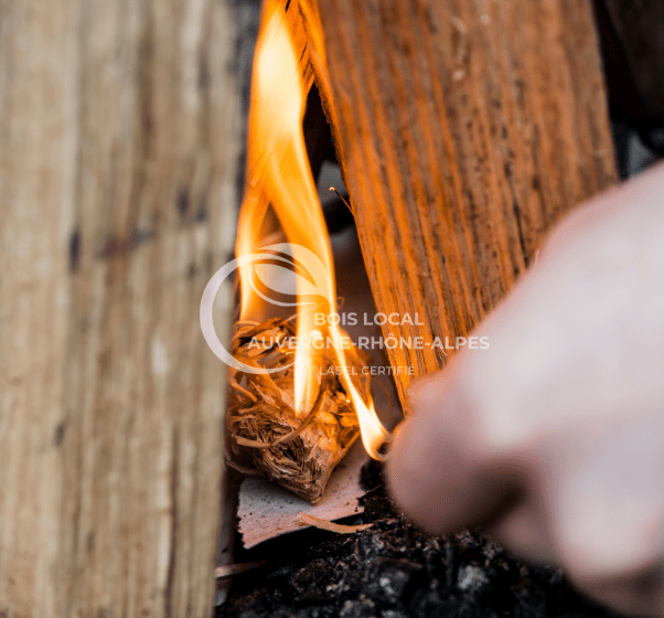une personne tenant un morceau d'allumette devant un feu