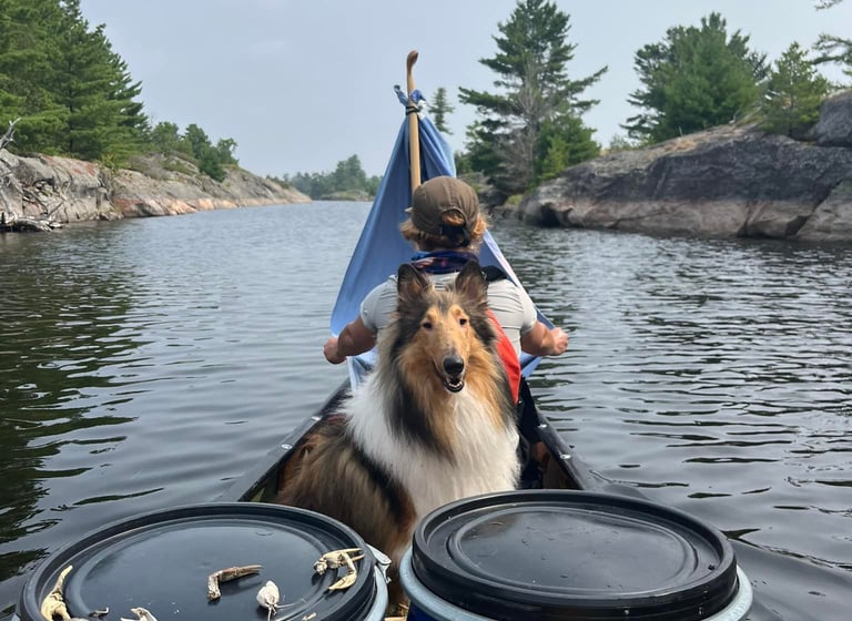 Expéditions guidées