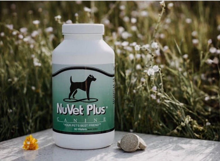 NUVET PLUS TITANIUM KILO KENNELS