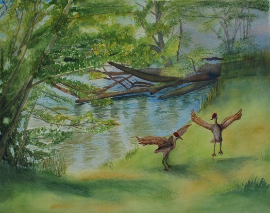 Watercolor - Wildlife WC201019