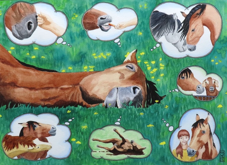 23-07 Sleeping Horse