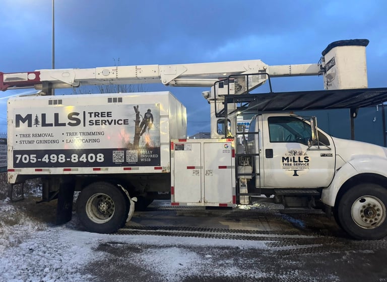 a large bucket truck for tree pruning