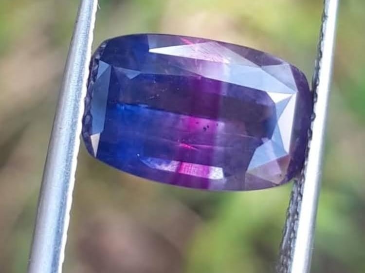 Faceted cushion cut bicolor sapphire gemstone with purple and blue hues held in silver tweezers.