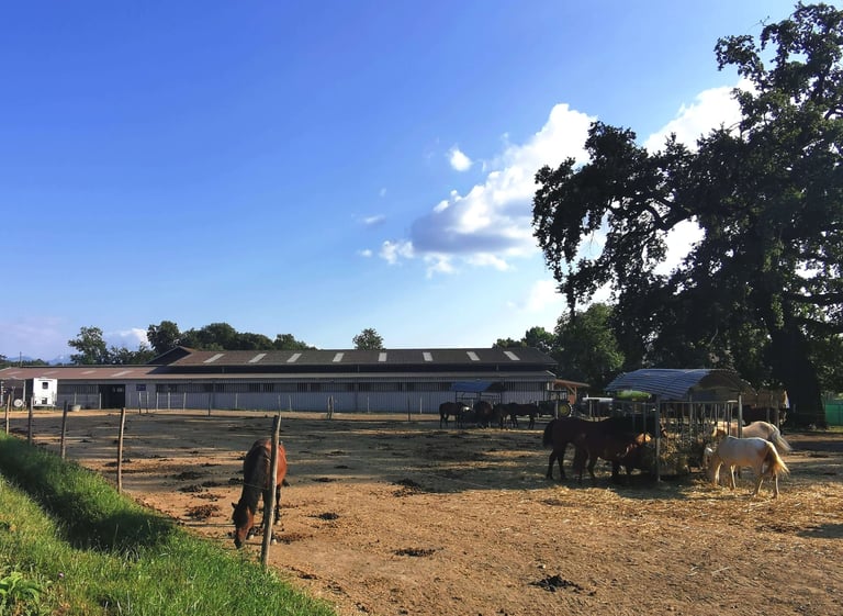 poney club Présinge