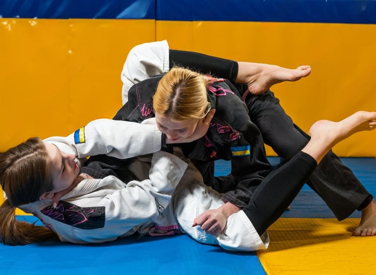 BJJ (Brazilian Jiu Jitsu) classes